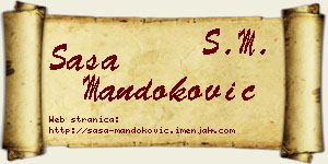 Saša Mandoković vizit kartica